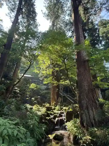 最乗寺（道了尊）(神奈川県)