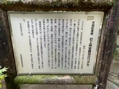 石上神宮(奈良県)