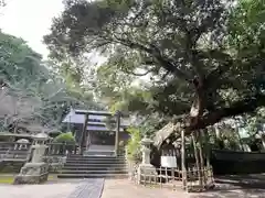 莫越山神社(千葉県)