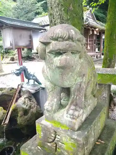 若一王子宮の狛犬