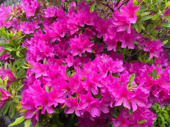 岐阜稲荷山本社(岐阜県)