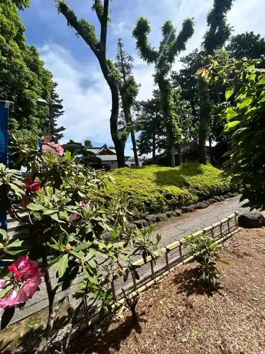 中野沼袋氷川神社(東京都)