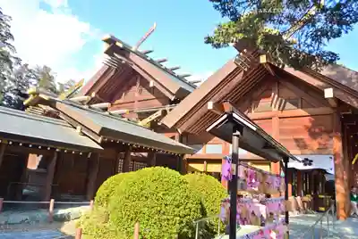 櫻木神社(千葉県)