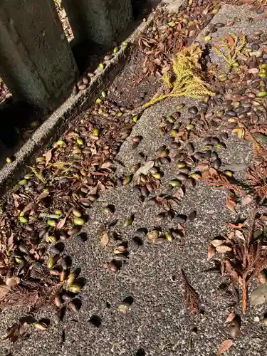 関戸神社(茨城県)