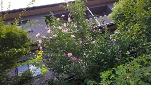 梨木神社の自然