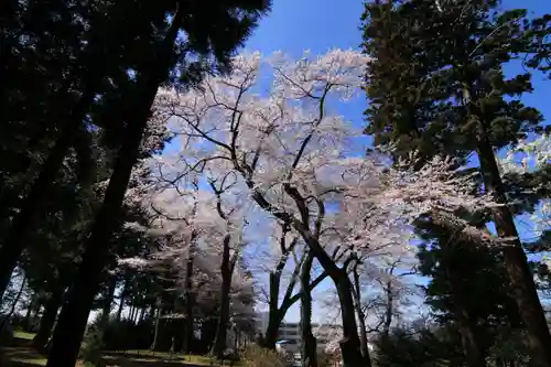 神炊館神社 ⁂奥州須賀川総鎮守⁂の庭園