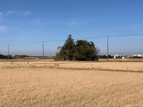 若宮八幡神社(千葉県)