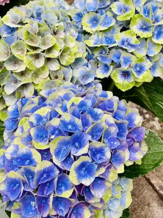 長谷寺(奈良県)