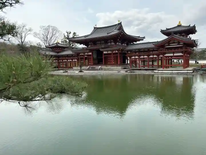 平等院の{uncategorized: "未分類", other: "その他", undefined: "問題あり", building: "その他建物", grave: "お墓", sacred_gate: "鳥居", guardian: "狛犬", statue: "像", buddha: "仏像", history: "歴史", nature: "自然", garden: "庭園", animal: "動物", pagoda: "塔", temizu: "手水舎", mountain_gate: "山門・神門", sanctuary: "本殿・本堂", subordinate: "末社・摂社", art: "芸術", scenery: "景色", jizo: "地蔵", ema: "絵馬", goshuin: "御朱印", omikuji: "おみくじ", items: "授与品その他", amulet: "お守り", goshuincho: "御朱印帳", eats: "食事", festival: "お祭り", votive_dance: "神楽", shichigosan: "七五三参", wedding: "結婚式", experience: "体験その他", initially: "初詣", around: "周辺", anti_infection: "感染症対策"}
