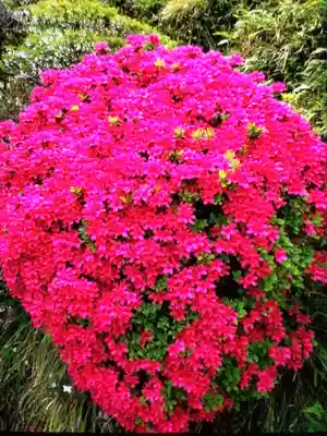 神足寺(東京都)