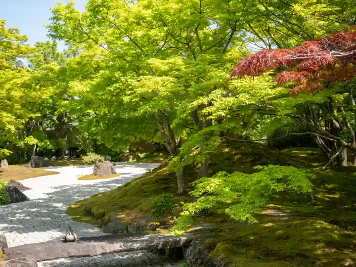 円通院の{uncategorized: "未分類", other: "その他", undefined: "問題あり", building: "その他建物", grave: "お墓", sacred_gate: "鳥居", guardian: "狛犬", statue: "像", buddha: "仏像", history: "歴史", nature: "自然", garden: "庭園", animal: "動物", pagoda: "塔", temizu: "手水舎", mountain_gate: "山門・神門", sanctuary: "本殿・本堂", subordinate: "末社・摂社", art: "芸術", scenery: "景色", jizo: "地蔵", ema: "絵馬", goshuin: "御朱印", omikuji: "おみくじ", items: "授与品その他", amulet: "お守り", goshuincho: "御朱印帳", eats: "食事", festival: "お祭り", votive_dance: "神楽", shichigosan: "七五三参", wedding: "結婚式", experience: "体験その他", initially: "初詣", around: "周辺", anti_infection: "感染症対策"}