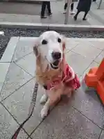 穴八幡宮(東京都)