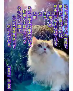 西教寺(下松駅徒歩5分)の動物(2022年06月09日(木) 21時44分11秒投稿)