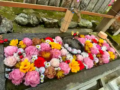 小倉八幡神社(徳島県)