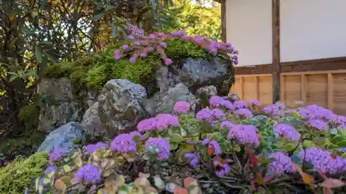古知谷阿弥陀寺(京都府)