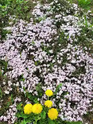 高司神社〜むすびの神の鎮まる社〜(福島県)