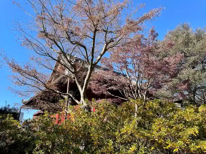 清水観音堂(東京都)