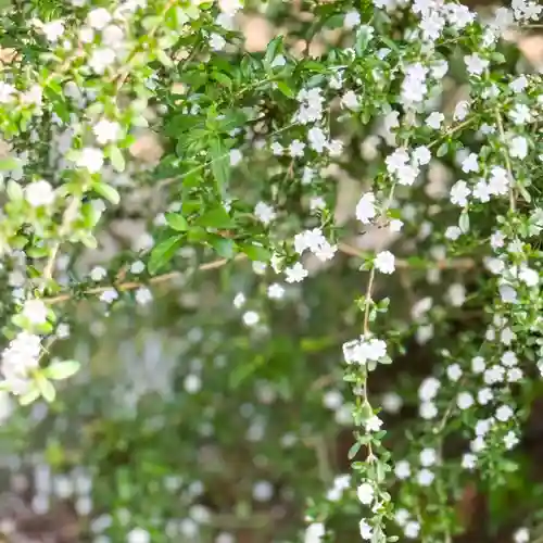 伊勢の国 四天王寺(三重県)