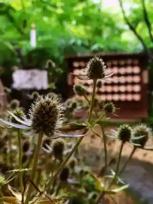 陽運寺(東京都)