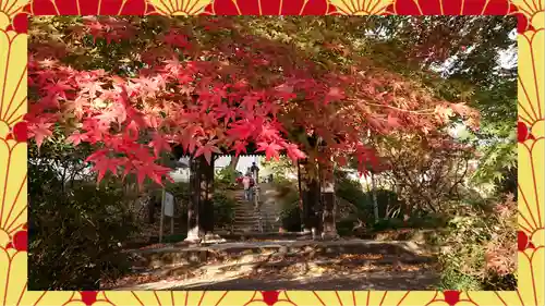 崇禅寺(群馬県)
