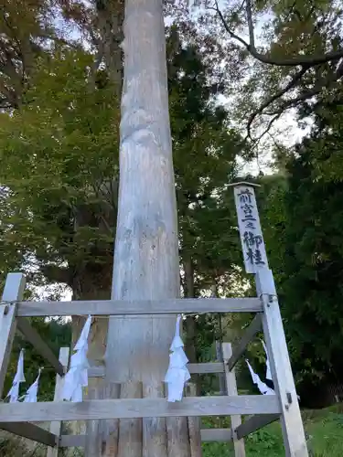 諏訪大社上社前宮の自然