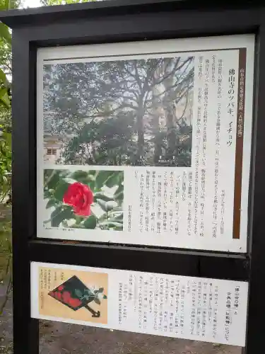 佛山寺(大分県)