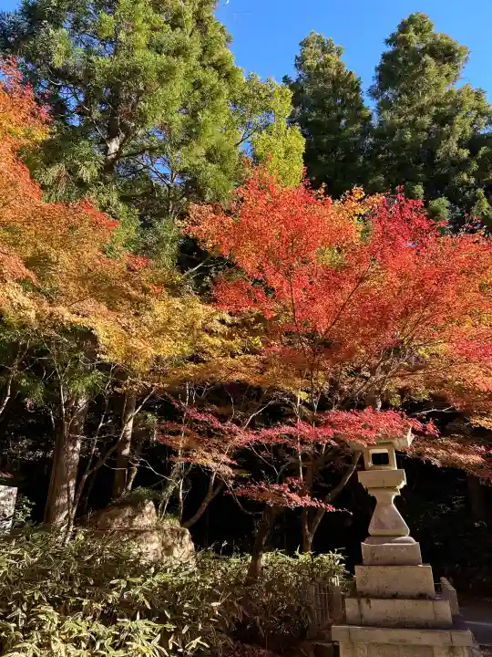 大矢田神社(岐阜県)