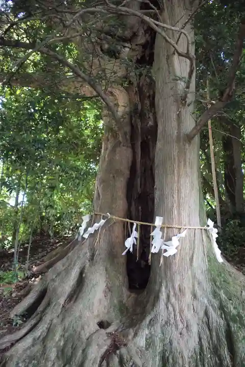 徳星寺(埼玉県)