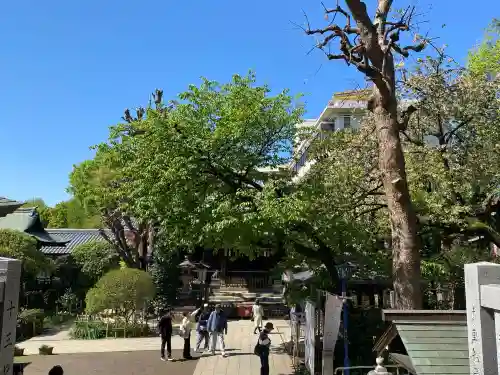 五條天神社(東京都)
