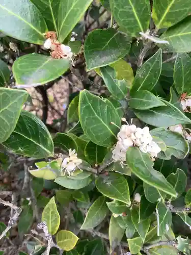 田縣神社の自然