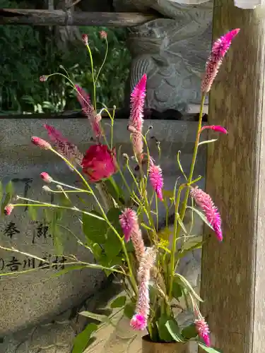 須山浅間神社(静岡県)