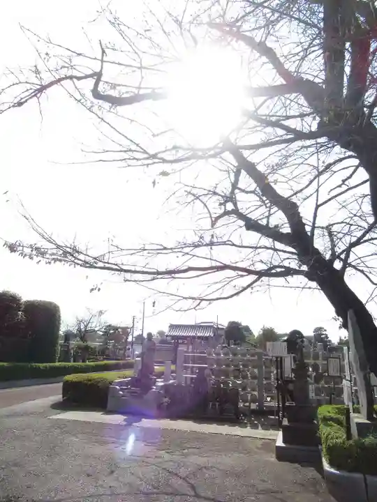 真光寺(千葉県)