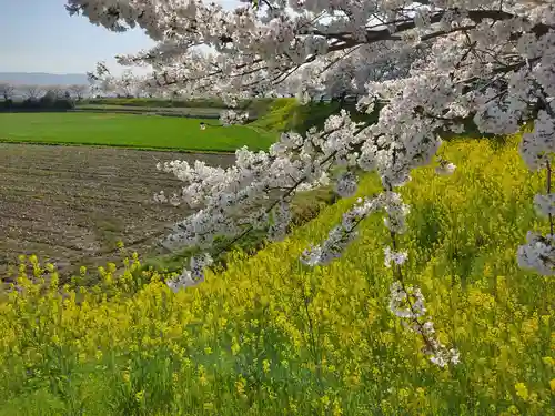 千代保稲荷神社の周辺