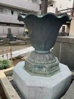 西應寺の{uncategorized: "未分類", other: "その他", undefined: "問題あり", building: "その他建物", grave: "お墓", sacred_gate: "鳥居", guardian: "狛犬", statue: "像", buddha: "仏像", history: "歴史", nature: "自然", garden: "庭園", animal: "動物", pagoda: "塔", temizu: "手水舎", mountain_gate: "山門・神門", sanctuary: "本殿・本堂", subordinate: "末社・摂社", art: "芸術", scenery: "景色", jizo: "地蔵", ema: "絵馬", goshuin: "御朱印", omikuji: "おみくじ", items: "授与品その他", amulet: "お守り", goshuincho: "御朱印帳", eats: "食事", festival: "お祭り", votive_dance: "神楽", shichigosan: "七五三参", wedding: "結婚式", experience: "体験その他", initially: "初詣", around: "周辺", anti_infection: "感染症対策"}