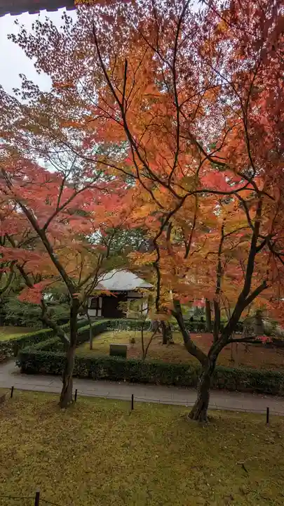 真正極楽寺(真如堂)(京都府)