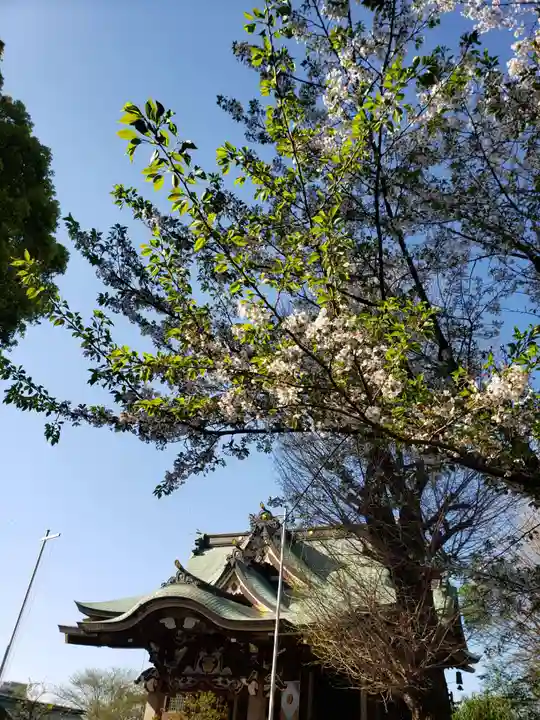 諏訪神社(東京都)
