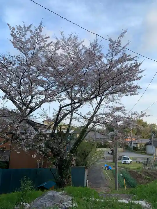 善福寺(千葉県)