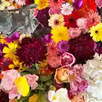 札幌諏訪神社の手水舎