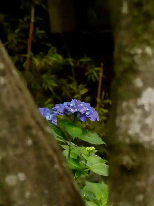懐古神社(長野県)
