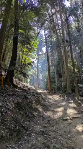 醍醐寺（上醍醐）(京都府)