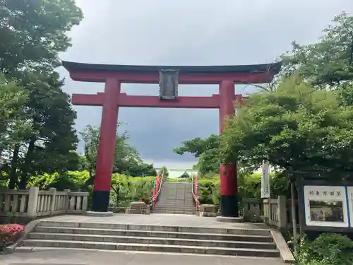亀戸天神社の鳥居