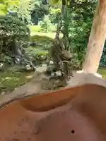 妙高寺の手水舎