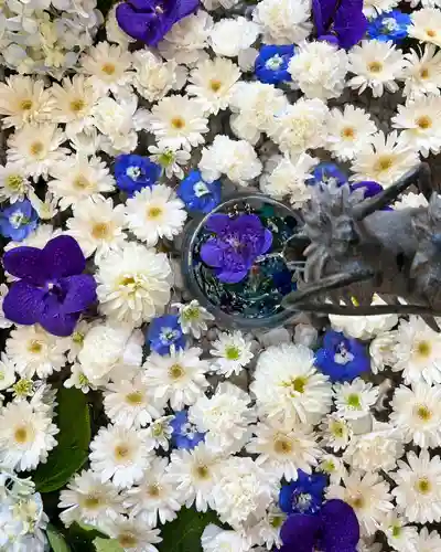 札幌諏訪神社の手水舎