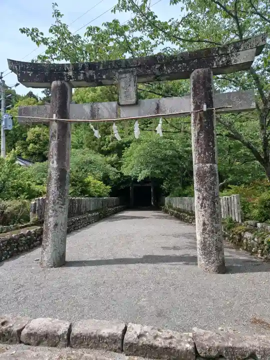 美奈宜神社の{uncategorized: "未分類", other: "その他", undefined: "問題あり", building: "その他建物", grave: "お墓", sacred_gate: "鳥居", guardian: "狛犬", statue: "像", buddha: "仏像", history: "歴史", nature: "自然", garden: "庭園", animal: "動物", pagoda: "塔", temizu: "手水舎", mountain_gate: "山門・神門", sanctuary: "本殿・本堂", subordinate: "末社・摂社", art: "芸術", scenery: "景色", jizo: "地蔵", ema: "絵馬", goshuin: "御朱印", omikuji: "おみくじ", items: "授与品その他", amulet: "お守り", goshuincho: "御朱印帳", eats: "食事", festival: "お祭り", votive_dance: "神楽", shichigosan: "七五三参", wedding: "結婚式", experience: "体験その他", initially: "初詣", around: "周辺", anti_infection: "感染症対策"}