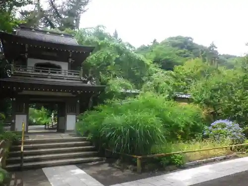 浄智寺の山門