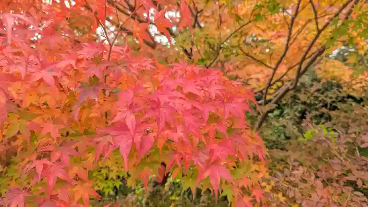 鍬山神社(京都府)