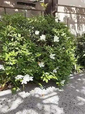 西方山極楽寺(岐阜県)