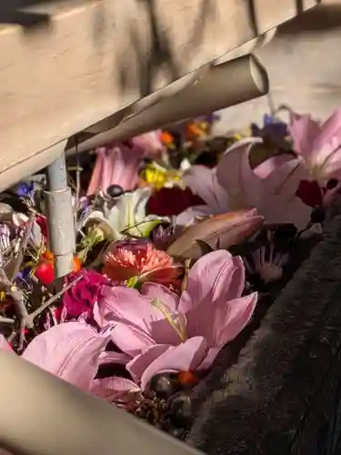 鳩森八幡神社(東京都)