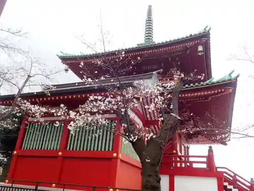 孝道山の御朱印