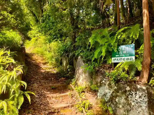 伊太祁曽神社の自然